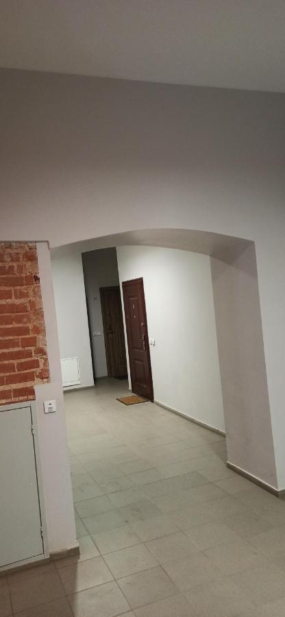 Studio Flat In A Historical XIX C. Building. Kaunas Kültér fotó